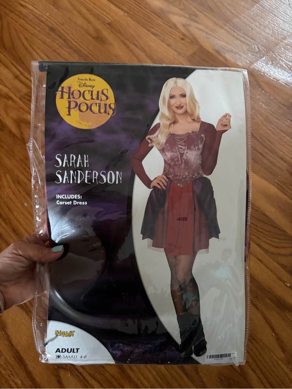 Disney Sarah Sanderson Halloween Costume Burgundy and Black Corset Dress